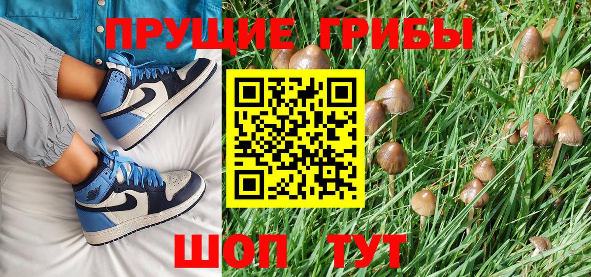 Кимовск  Галлюциногенные грибы Cubensis  Вход с VPN 