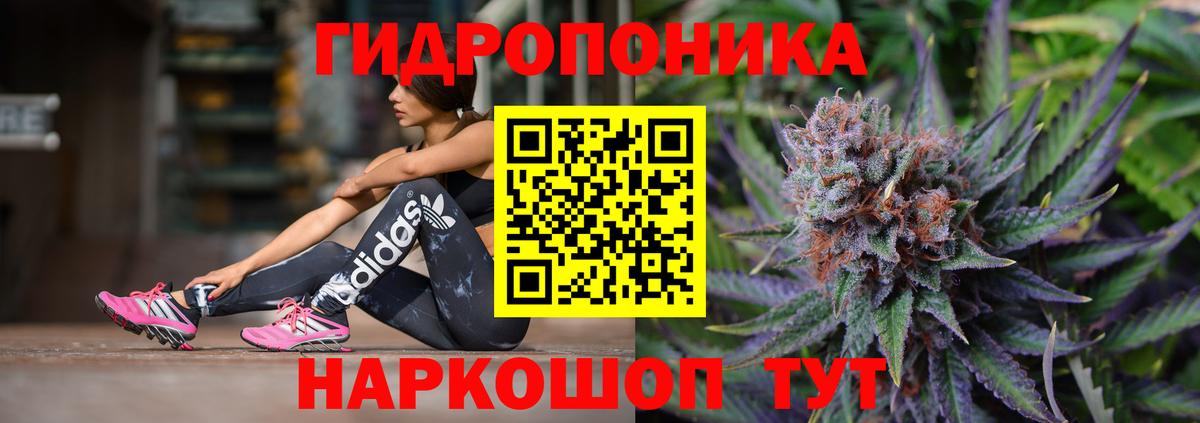 Кимовск  Шишки марихуана планчик  Вход с VPN  Бошки марихуана план 